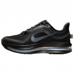 Nike Pegasus Premium Must Metallik H&otilde;bedane Naiste Tennised HQ2593-004 40.5