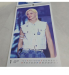 FELIX 2026 seinakalender &ndash; K-POP f&auml;nnikaup (Juhuslikud pildid, kleebis kaasas) 1 ea