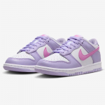 Nike Dunk vabaajajalatsid naistele ja suurtele lastele 38