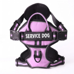 Reguleeritav prantsuse buldogi lemmikloomade rakmete vest keskmise suurusega koertele Helkur suurte koerte rakmed jalutusrihma komplekt maskotid kett Prdocuts S-advise 4-7.5kg