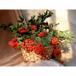 Teemanttikandid Maastik Rhinestone Painting Scenery Rowan Diamond Painting 20X30CM