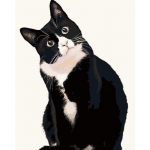 t&auml;ispuurimise ruut&;&Uuml;mmargune teemantmaaling musta n&auml;oga kassiga isetehtud m&uuml;&uuml;k tikandid loomade kodukaunistus kingitus Full Round 20x30CM