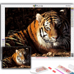 5D DIY Teemantmaali Loom Tiger Ristpiste Teemant Kunst Tikand Mosaiik Home Deco Full Round 20X30CM