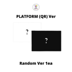 QR platvorm Ver ARTMS 1. t&auml;ispikk album DALL Random Ver