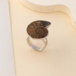 1 tk, naturaalse kestaga merikarbi avamisr&otilde;ngas, merestiilis tigu kujuga reguleeritavad s&otilde;rmused naistele meestele igap&auml;evaseks kandmiseks m&otilde;eldud ehted, Halloweeni j&otilde;ulukinketarbed 1Pc