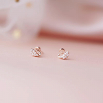 Swan Stud K&otilde;rvar&otilde;ngad Naiste Kerge Luksus Ni&scaron;&scaron; Disain Sense Flash Teemantk&otilde;rvar&otilde;ngad Armsad Tudengit&uuml;druku K&otilde;rvar&otilde;ngad