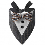 Pehmed ja mugavad pilkup&uuml;&uuml;dvad Bowknot lemmikloomakoera &uuml;likond kolmnurga salli lemmikloomatarbed hall