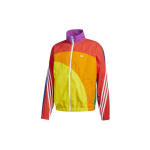 Adidas Originals Pride As&uuml;mmeetriline dressipluus meestele Mitmev&auml;rviline GD0955 M