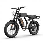 URLIFE T2 maastikuelektrijalgratas 250W mootor 48V 15,6Ah aku must