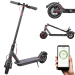 Electric Scooter Rebel FAST WHEELS PRO 250W 8.5 120 kg IP54 LED