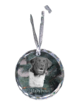 Stabyhoun, Stabijhoun, Fryske Stabij - crystal bauble with a photo, dog photo in crystal, personalized Christmas tree ornament by Art-Dog brand puhas
