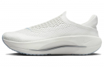Nike Reina EasyOn Sail Phantom Light Orewood Brown Light Armory Blue Naiste FN0345-100 36.5