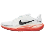 Nike Air Zoom Pegasus 41 Eliud Kipchoge HJ7037-100 punane