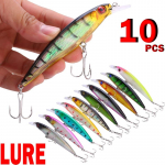 Kalas&ouml;&ouml;t 10 tk kalap&uuml;&uuml;gi landid 2 p&uuml;&uuml;givahendiga Bass Carp p&uuml;&uuml;gis&ouml;&ouml;daga