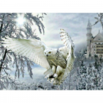 Teemanttikandid &ouml;&ouml;kull T&auml;is&uuml;mmargune teemantmaal Talvine loom ristpistes kristallp&auml;rli pilt 20X30CM