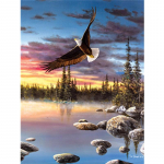 T&auml;ielik 5D DIY teemantmaal maastik kotkas teemanttikand ristpistes kodukaunistus k&auml;sitsi valmistatud 20x30cm