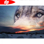 T&auml;isruudukujuline teemantmaaling siil-loom kivikivi komplekt Teemanttikandid lillepuu maastik Teemantmosaiik ristpistes sisekujundus koduks Full Round 20X30CM punane