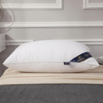 100% puuvillane Hilton Solid Color Home Pillow Manufacturers Direct Pillow 5star Hotel Pillow Core vaakumkompressioon pakend 48*74cm High pillow850g