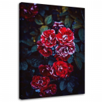 Feeby l&otilde;uenditr&uuml;kk, punased lilled lehtede taustal 40x60 punane