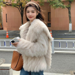 Kasukas talvine pl&uuml;&uuml;smantel naiste paksendatud plahvatusohtlik samblastiilis v&auml;ike l&otilde;hn S aprikoosi