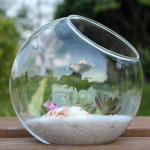 Taimede Terrarium Mikromaastik Maja L&auml;bipaistev Konteiner Klaasvaas Kaldl&otilde;ikega Pulmadeks Elutuppa Diameter 15cm