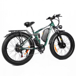 New model DP2603-3000W dual motor 48V25AH26*4.0 fat tires dual suspension adult off-road all-terrain electric bicycle 3000W 52V 32AH roheline