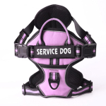 Reguleeritav prantsuse buldogi lemmikloomade rakmete vest keskmise suurusega koertele Helkur suurte koerte rakmed jalutusrihma komplekt maskotid kett Prdocuts S-advise 4-7.5kg pink