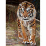 T&auml;isringi puur Teemanttikandid Tiger DIY Teemantmaal Ristpistes Rhinestone Mosaiic Decor 20X30CM
