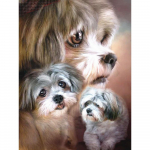 5D teemantmaaling ise koer Teemanttikandid Loomad Mosaiigikomplektid Ristpisted 20x30