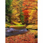 5D teemantmaaling s&uuml;gisene puu mets maastik teemanttikandid ristpistes 20X30CM