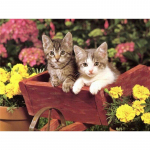 5D teemantmaaling kassile loom iseteemanttikandid lille ristpistes 20X30CM