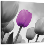 L&otilde;uenditr&uuml;kk Tulip Blossom Purple Grey 30x30 lilla