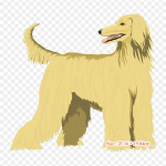 Koerte triikimine soojus&uuml;lekandel printimisel Vin&uuml;&uuml;lplaastrid riiete kleebis DIY aplikatsioonid pestavad plaastrid