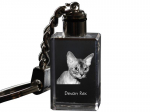 Devon Rex - Crystal pendant with cat photo, illuminated pendant, unique gift by Art-Dog brand
