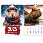 2025. aasta Dolphin Journey kalendri seinakalendri kingitus, aja kingitus, kodukalender One Size