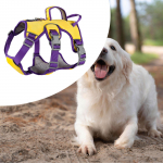 Reguleeritav helkurelementidega koeravest keskmise suurusega koertele S