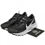 Nike Wmns Pegasus Trail 3 Must Plaatina DA8698-001 EU 36 suits/must