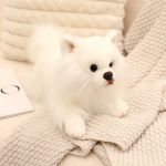 Simulatsioonikutsikas Corgi Pomeranian Nukk Palusm&auml;nguasi Husky Nukk Laste rahustav Muppet-nukk 40cm（0.3kg）