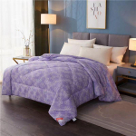 Prinditud muster Mugav sooja polsterdatud talvine tekk &uuml;hiselamu kodu puuvillane tekk voodipesu 180*220cm（2kg）