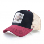 Meeste isam&uuml;tsid Suvised v&otilde;rgust pesapallim&uuml;tsid Naiste Snapback hingav visiirim&uuml;ts Meeste hip-hop Truckeri m&uuml;ts 56-59cm