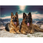 DIY Dog 5D Teemantmaaling Loomade Teemanttikandid T&auml;is&uuml;mmargune puur Mosaiik Rhinestone Ristpistes Kunstsein Kodukaunistuse kingitus Full Round 30x40CM