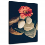 L&otilde;uenditr&uuml;kk Gerbera Flowers Zen Stones 40x60 oranž