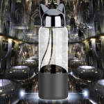 Moodne armas Fox klaasist veepudel 360 ml l&auml;bipaistev pudel jalgrattamatka jaoks None