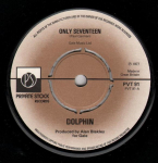 7-tolline plaat DOLPHIN - Only Seventeen PVT91 Private Stock 1977 UK Pop Kasutatud