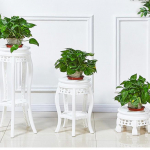 Hiina stiilis mitmekihiline lillealus elutuppa v&otilde;i r&otilde;dule, plastikust Pothos riiul 30cm diameter, 102cm height