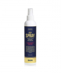 Classic Hardwire Keep Spray 250ml