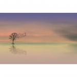 5D-teemantmaal Puude maastik Teemanttikandid Varjatud maastiku ristpistes 20X30CM