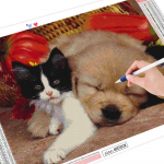 Teemantmaal T&auml;isruudukujuline Uus saabumine Kass Teemanttikandid Koer Mosaiik Loom Kodukaunistus Seinakunst Full Round 20X30CM