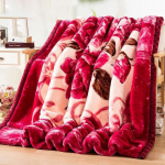 Talvetekid Paksendatud topelt Raschel tekid &Uuml;hekordsed topelttekid Sooja hoidmiseks &Uuml;li&otilde;pilaskodus &Uuml;hekohalised topelttekid 200 cm*230 cm