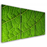 Kolmeosalise pildiga l&otilde;uenditr&uuml;kk Green Foliage Nature 60x40 roheline
